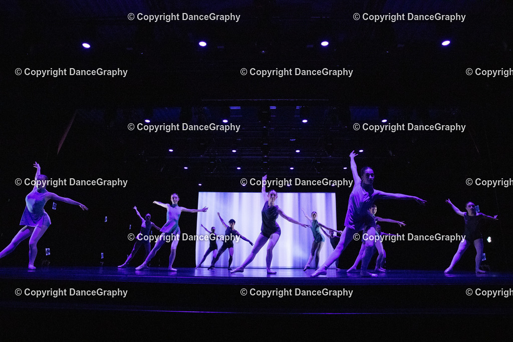 GPHY6589 | DanceGraphy - Realisiert mit Pictrs.com