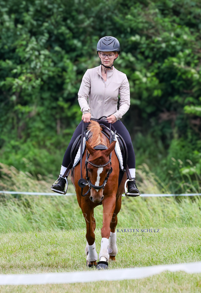 1B3A2986 | Reitsport Reiten