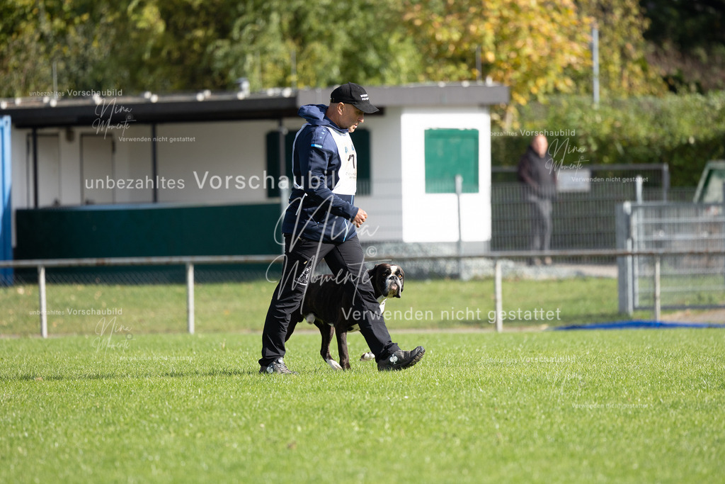 _16A6638 | Einzigartige Fotos von Hunden & Menschen –Actionfotos, Portraits, Vereinsaufnahmen & Paarshootings – authentisch, lebendig & mit Herz.