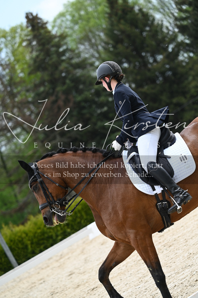 20230512_JK-Röhrsdorf-05-070 | Pferde- und Turnierfotografie in Westsachsen. Pferdeportraits, Auftragszeichnungen und intuitive Kunst.
