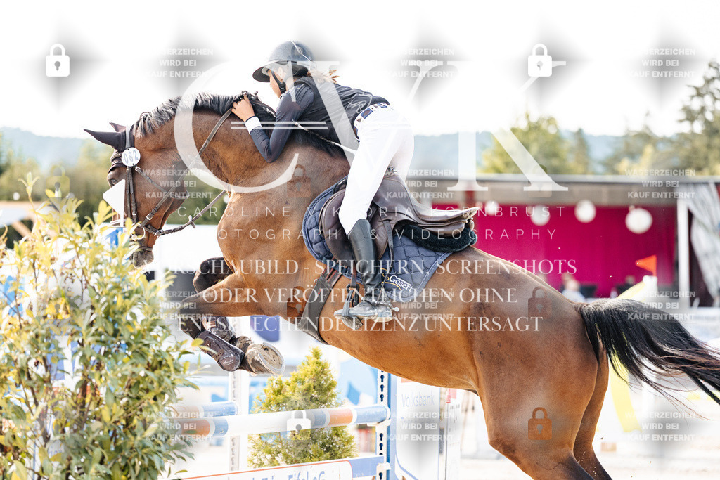 CK906390 | Turnierfotografie Pferdefotografie Trier Rheinland-Pfalz Pferdesport Reitsport Tierfotografie Sportfotografie Pferdevideo Pferdevideografie Equestrianvideography equestrianphotography  - Realisiert mit Pictrs.com