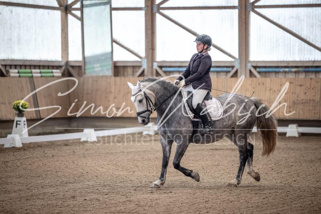 20251011-_3LI9149 | Tierfotografie Pferde, Hunde, Katzen, Haustiere.
Turnierfotografie Reitturniere, Reiten, Springreiten, Dressur in Hanau, dem Main-Kinzig-Kreis und dem Rhein-Main- Gebiet um Frankfurt