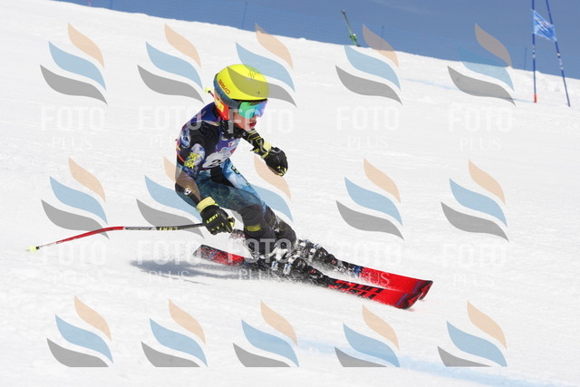 _W1G3990 | holidayphoto