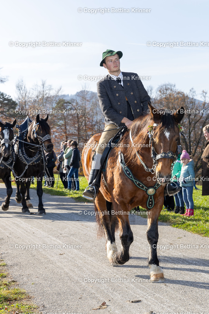 LBT24-1182 | foto-bettina-krinner - Realisiert mit Pictrs.com