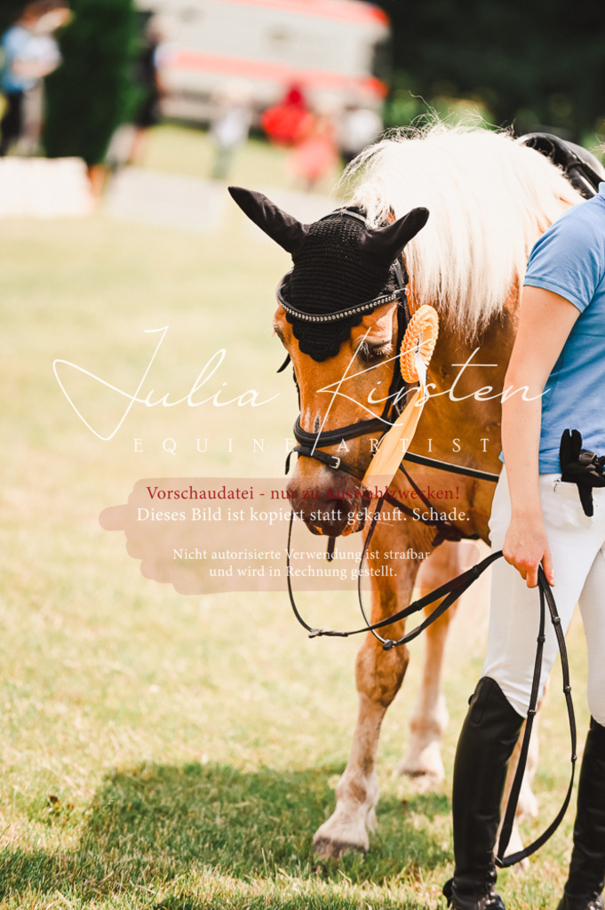 DSC_6431 | Pferde- und Turnierfotografie in Westsachsen. Pferdeportraits, Auftragszeichnungen und intuitive Kunst.