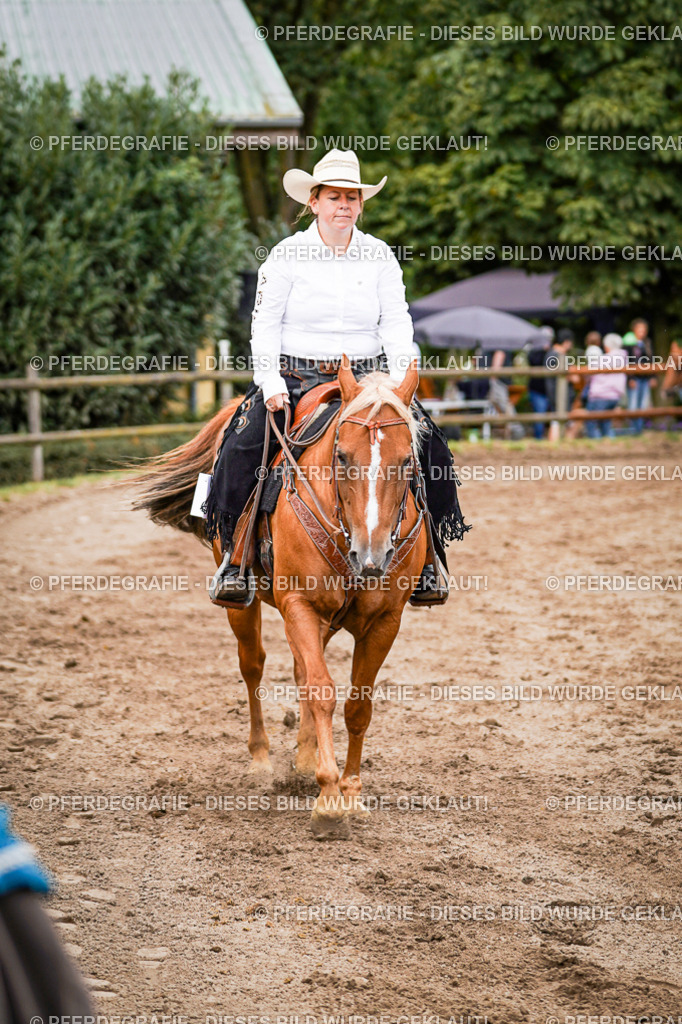 DSC08561 | Pferdegrafie