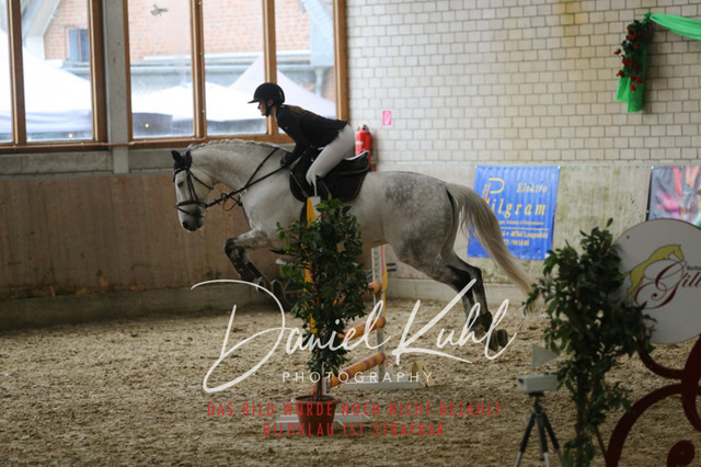 IMG_0603 | Turnierfotos kaufen im Webshop von Daniel Kuhl Photography – entdecke professionelle Reitsportfotos aus Turnieren & Events. Hochwertige Turnierbilder online bestellen & sichern. Jetzt Fotos von Reitsportturnieren kaufen!