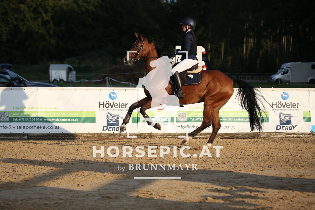 DL2Q6326 | Willkommen bei Brunnmayr - Design & Fotografie – Ihrem Spezialisten für Reitturniere und Pferdeveranstaltungen in Oberösterreich, Salzburg und Bayern! Seit über 17 Jahren sind wir leidenschaftlich dabei.