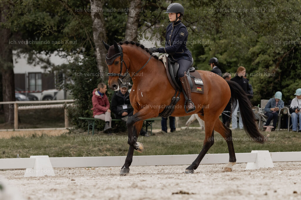 WE_DR_Stoib_335_PI2025_405 | Pferd International München 2025