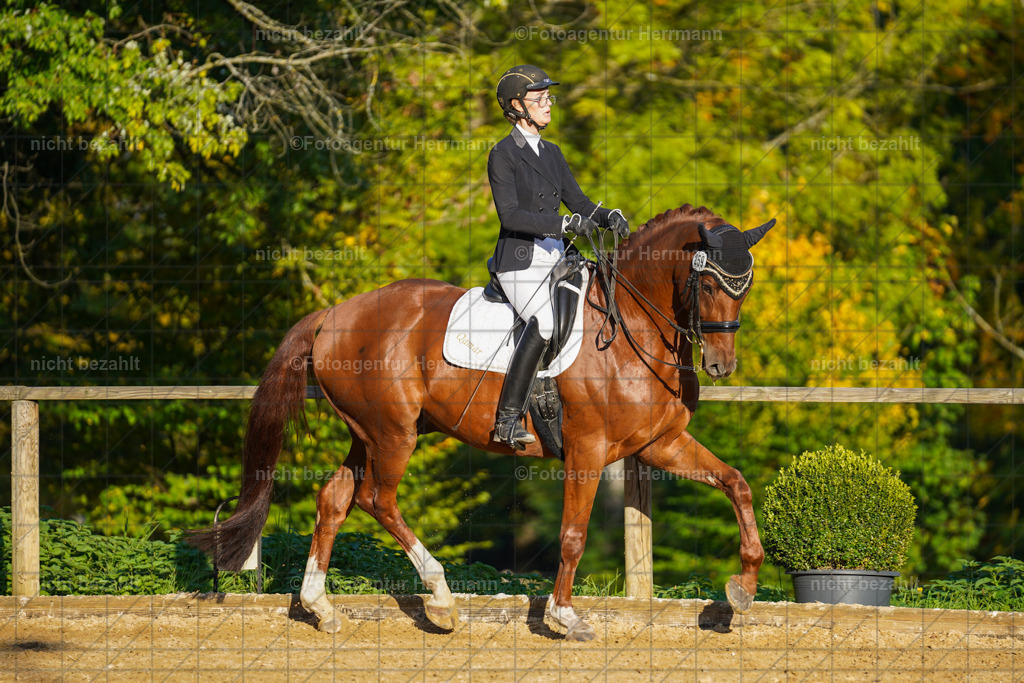 20221007-FAH00329 | Diessen am Ammersee, 2022, Dressur- und Springturnier, Reitsportbilder, Turnierfotografen Bayern, Pferdefotografen, Fotoagentur Herrmann, Turnierbilder