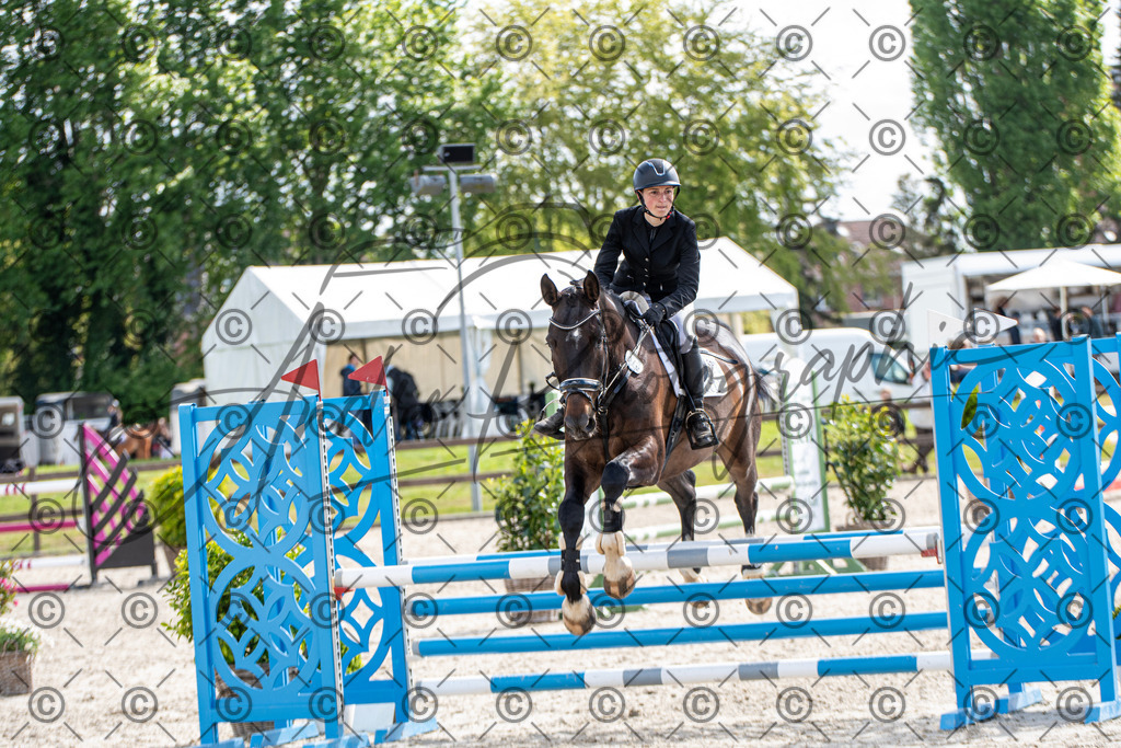 KPT_4814 | andre_photographic