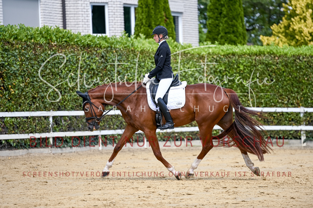 Schugtsche-Aluta25-49.Dressurpferdeprf.A-184 | Schugtsche Fotografie - Realisiert mit Pictrs.com