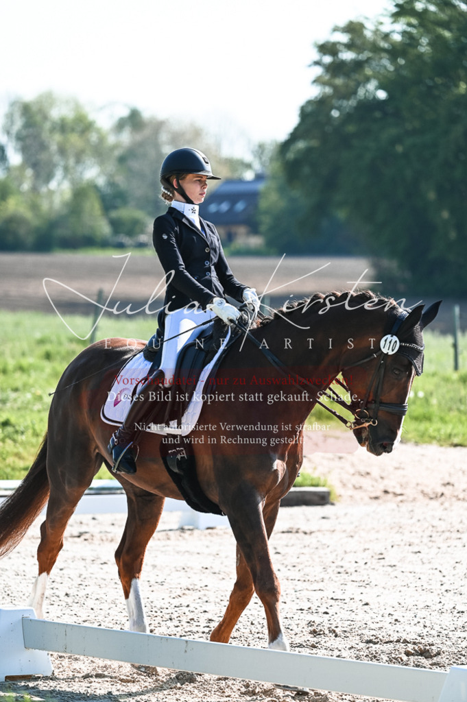 20230514_JK-Röhrsdorf-18-182 | Pferde- und Turnierfotografie in Westsachsen. Pferdeportraits, Auftragszeichnungen und intuitive Kunst.