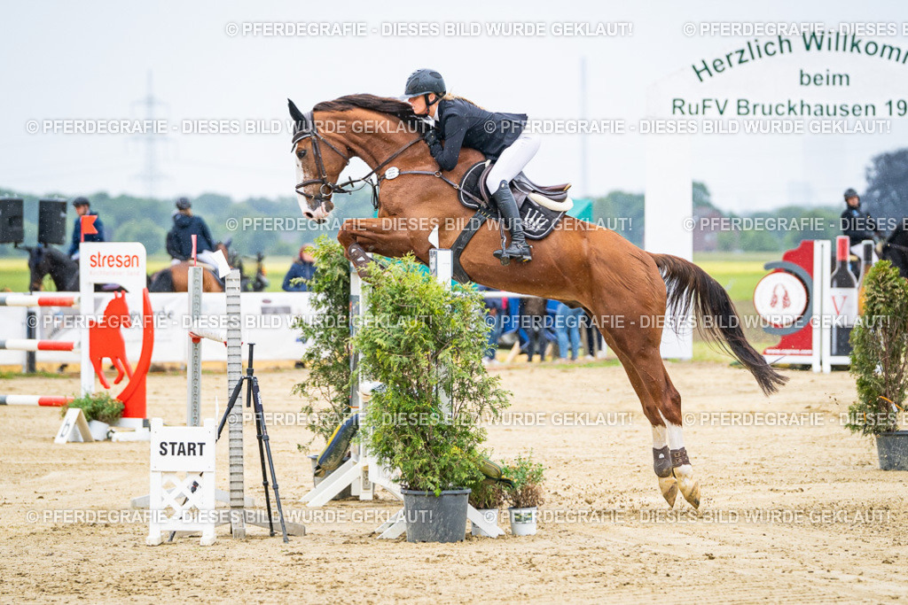 DSC07910 | Pferdegrafie