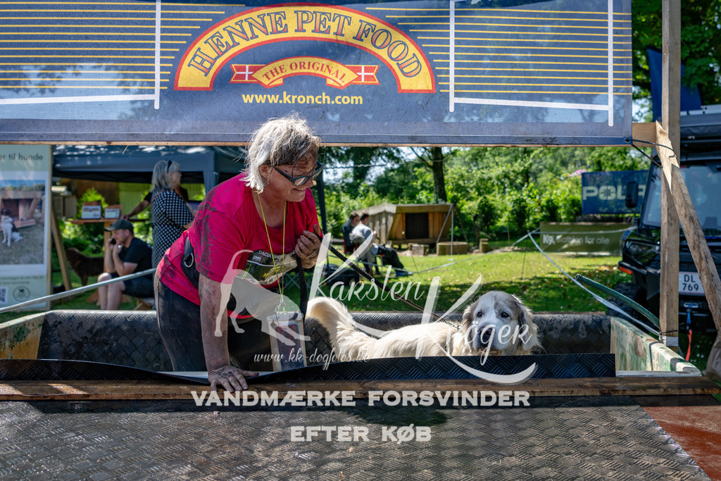 1256_ZZ90335 | kk-dogfotos