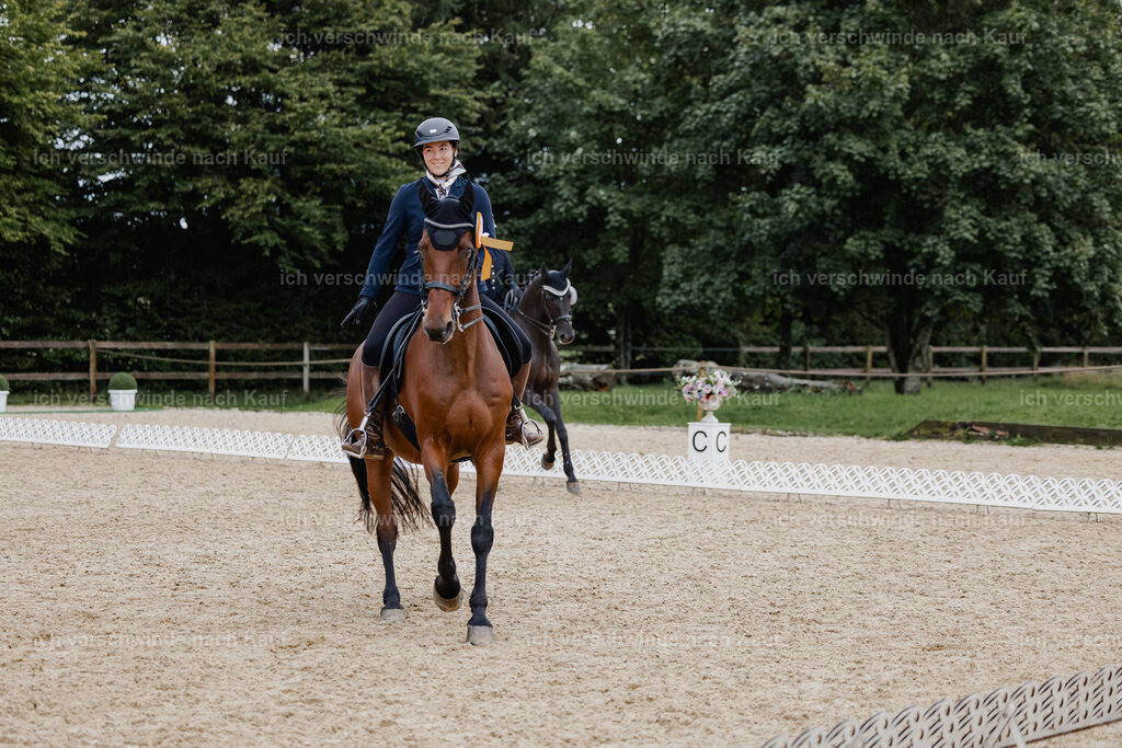 Nadine22_FHC2025-40 | working equitationturnier fotograf videograf stoibphotography marixx film working equitation deutschland reitsport turnierfotografie eventfotografie equestrian events