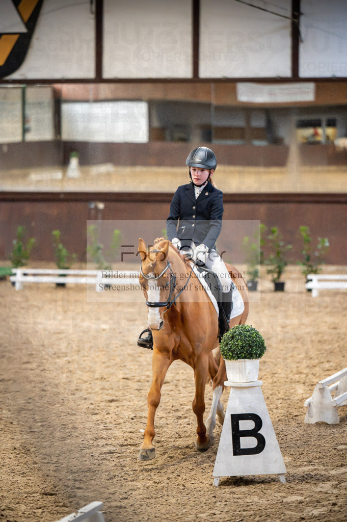 Hallenreittunier Voxtrup 2023 | Entdecke hochwertige Reitturnierfotos von Foto Oger. Professionell, emotional und authentisch – jetzt Lieblingsmomente im Shop bestellen.Deutschlandweite Turnierfotografie. - Realisiert mit Pictrs.com