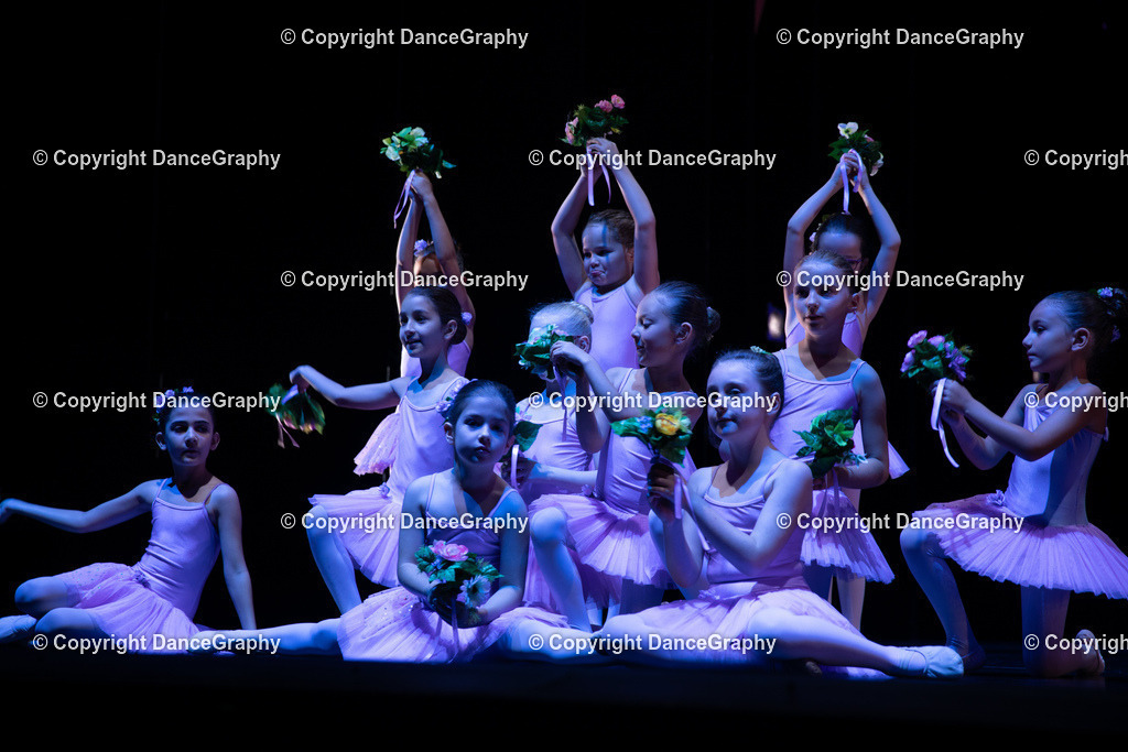 GPHY4881 | DanceGraphy - Realisiert mit Pictrs.com