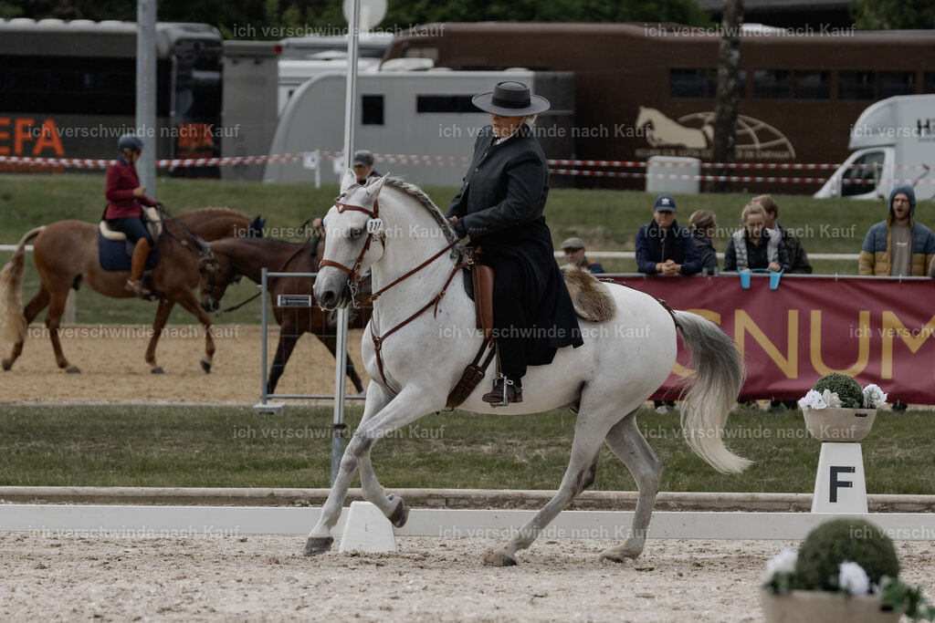 WE_DR_Stoib_321_PI2025_342 | Pferd International München 2025