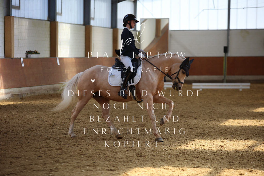 IMGT4928 | pl-fotografie