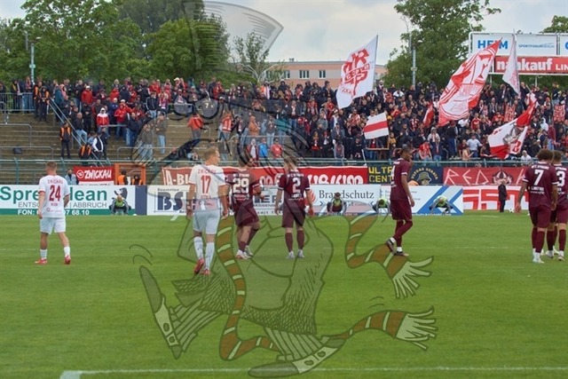 BFC Dynamo vs. FSV Zwickau 075 | mythos-online-redaktion