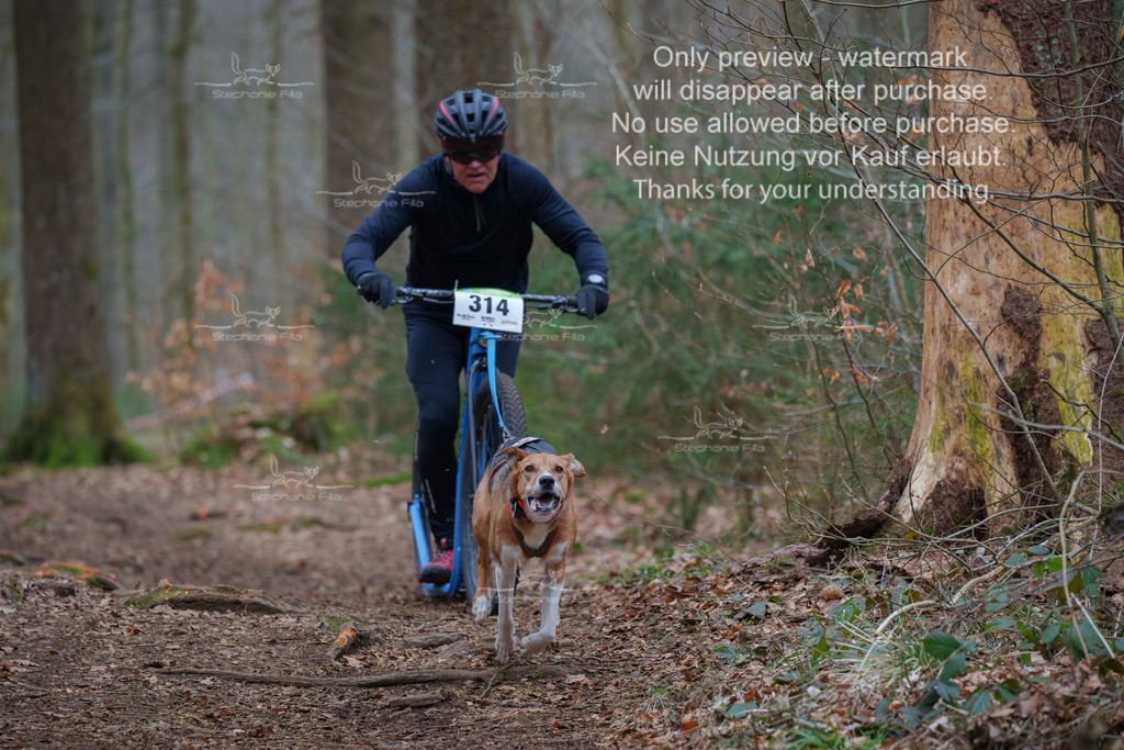 Scooter_So-80 | stephaniefillaphotographie - Realisiert mit Pictrs.com