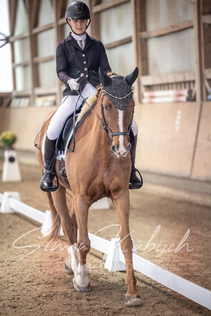 20251011-_3LI9631 | Tierfotografie Pferde, Hunde, Katzen, Haustiere.
Turnierfotografie Reitturniere, Reiten, Springreiten, Dressur in Hanau, dem Main-Kinzig-Kreis und dem Rhein-Main- Gebiet um Frankfurt