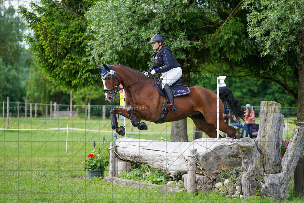 20240518-FAH04173 | Turnierbilder von Niederseon, Turnierfotografen Bayern, Fotoagentur Herrmann, Geländebilder, Reitsportfotografie