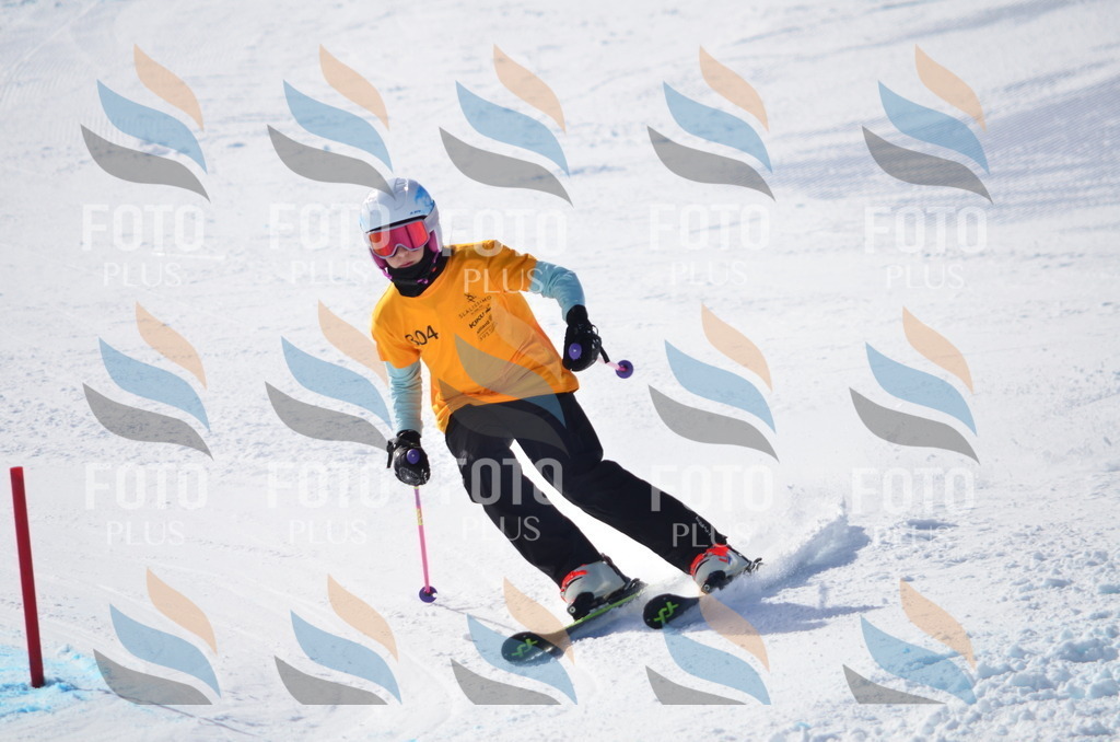 C9483 | holidayphoto