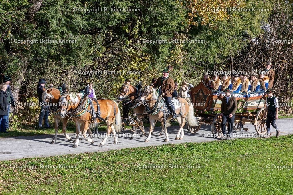 LBT24-637 | foto-bettina-krinner - Realisiert mit Pictrs.com