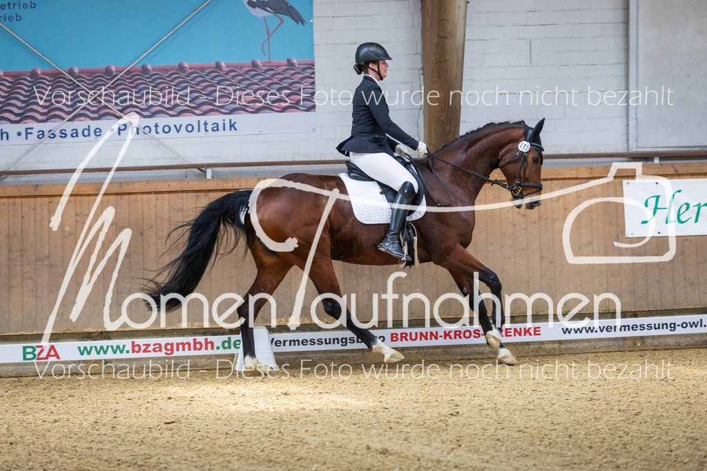 Sth-LPO25-A-Dr-030 | MomenTaufnahmen Pferdesportfotos