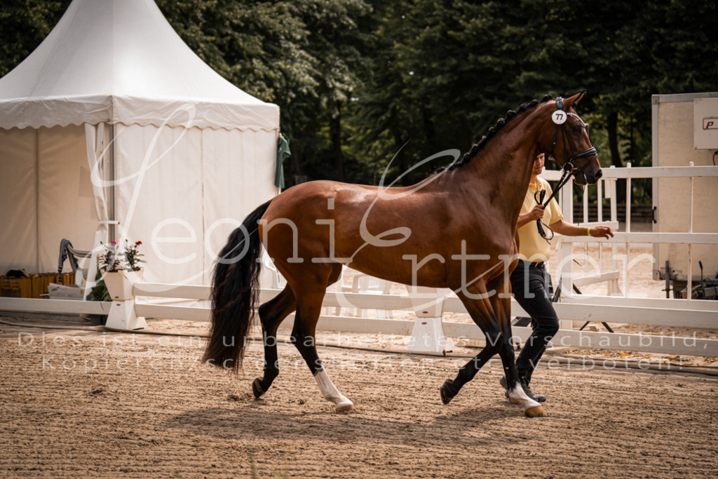 4.Fr00013 | Leoni Ertmer Photography - Realisiert mit Pictrs.com