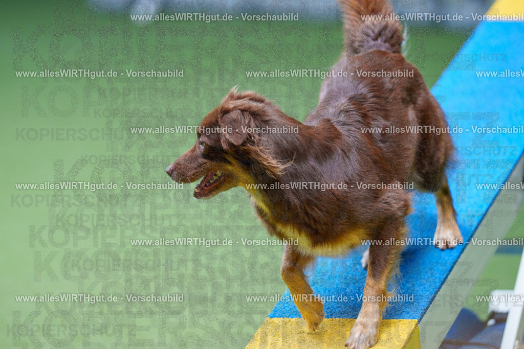 @allesWIRTHgut_Tierfotografie - www.allesWIRTHgut.de - 2604261141-7R500185 | Professionelle Tierfotografie in Mönchengladbach von Daniel Wirth (allesWIRTHgut). Liebevolle & natürliche Bilder von Hunden & Katzen für unvergessliche Erinnerungen.