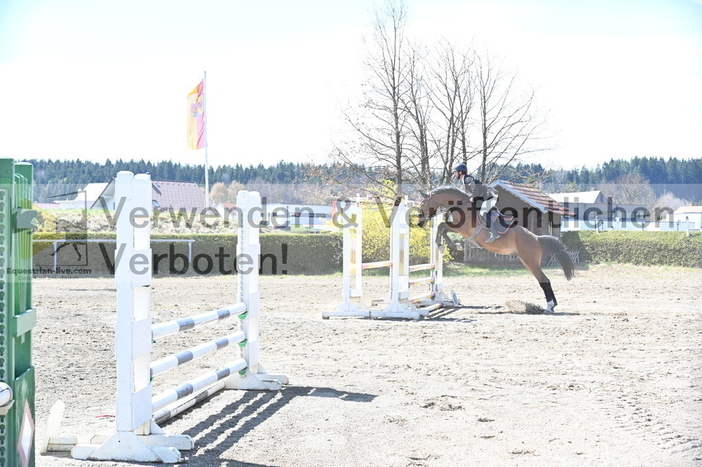 DSC_5403 | equestrian-live-com