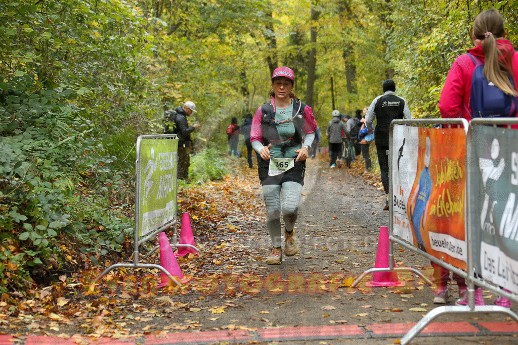 251026_1321_EX1_3247 | Sportfotografie im Rhein-Sieg Kreis, Köln, Bonn, NRW, Rheinland Pfalz, Hessen, etc. Unser Tätigkeitsfeld umfasst den Laufsport vom Volkslauf über den Marathon, Duathlon, Triathon bis zum Ultralauf wie Kölnpfad Ultra oder Schindertrail.