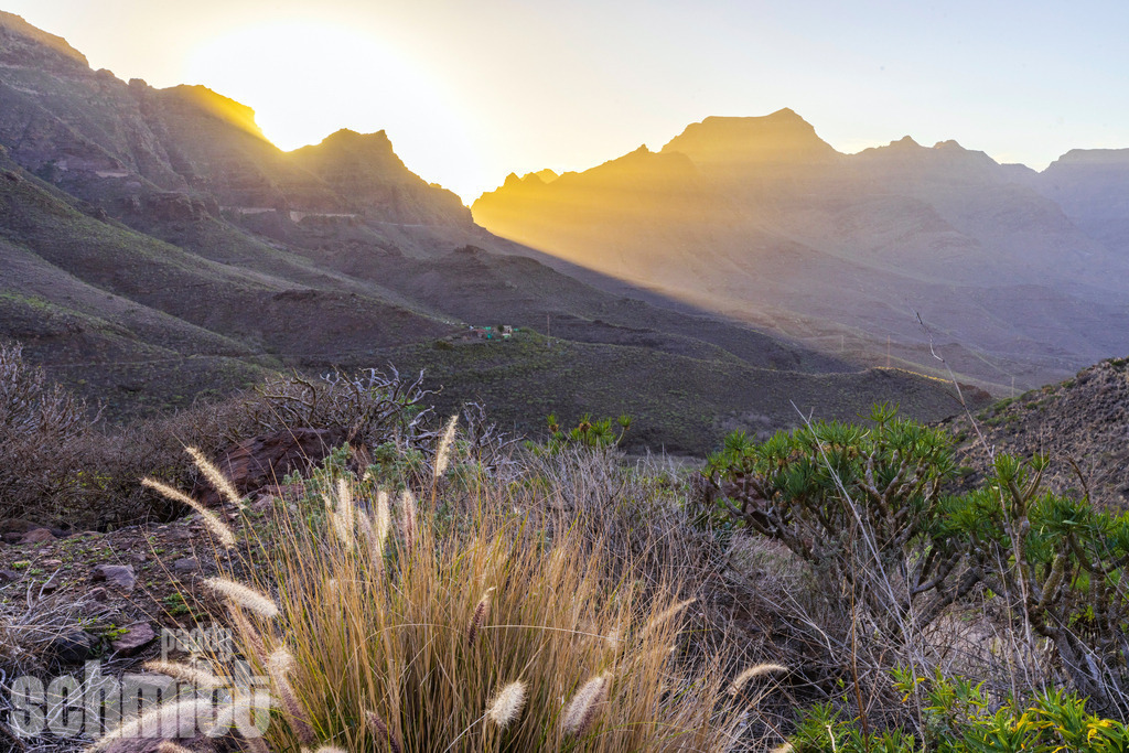 PS-Gran-Canaria-2026-23 | Entdecke die größte Bildgalerie der Region mit Fotografien aus dem Allgäu, der Bodenseeregion, Oberschwaben, dem Donautal und der Schwäbischen Alb. Landschaften, Luftaufnahmen und Reisefotografie als Wandbild und Fotokunst. - Realisiert mit Pictrs.com