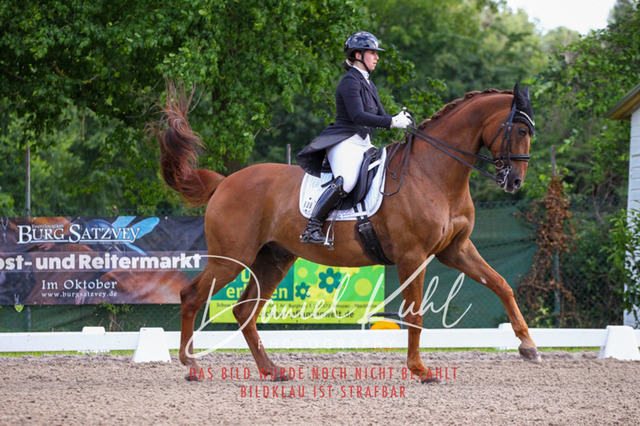 DKP41601 | Deine Turnierfotos vom Reitturnier online kaufen: Dressur, Springen & Siegerehrung. Professionelle Pferdefotografie aus dem Rheinland – als Download & Print.Alternative: Turnierfotograf für den Pferdesport: Finde deine Fotos von Dressur- und Springturnier