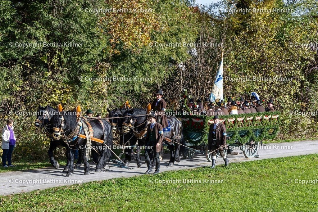 LBT24-661 | foto-bettina-krinner - Realisiert mit Pictrs.com