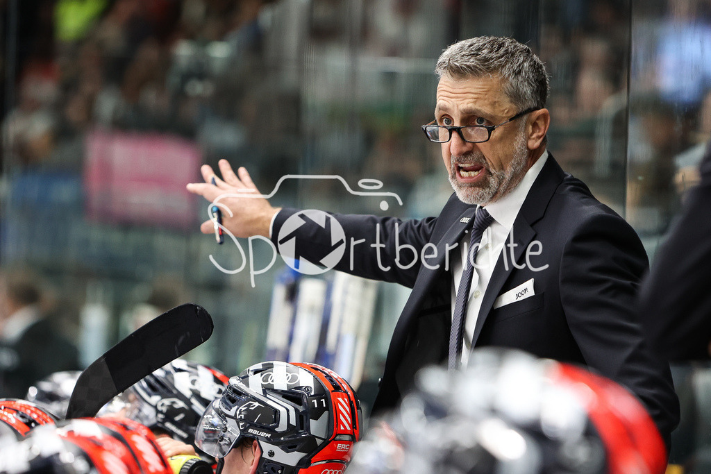 Augsburger Panther - ERC Ingolstadt | Ingolstadt Trainer Mark FRENCH in Aktion hinter der Bande
