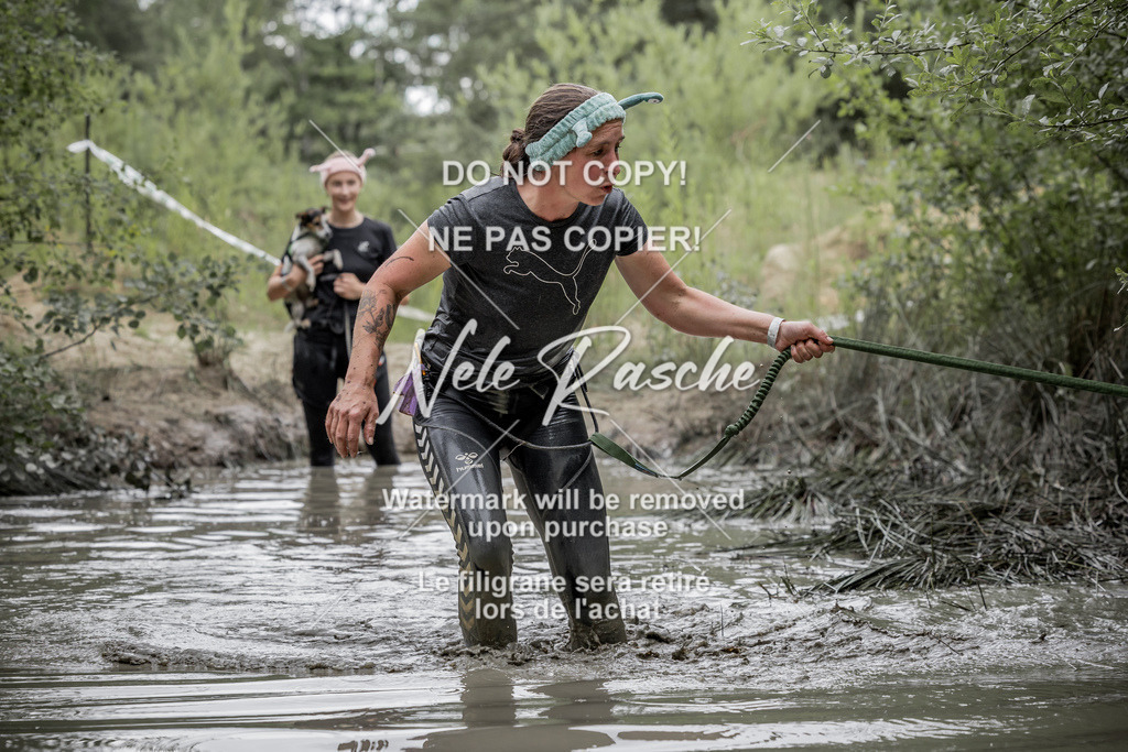 nelerasche_1400-1445_333 | nelerasche