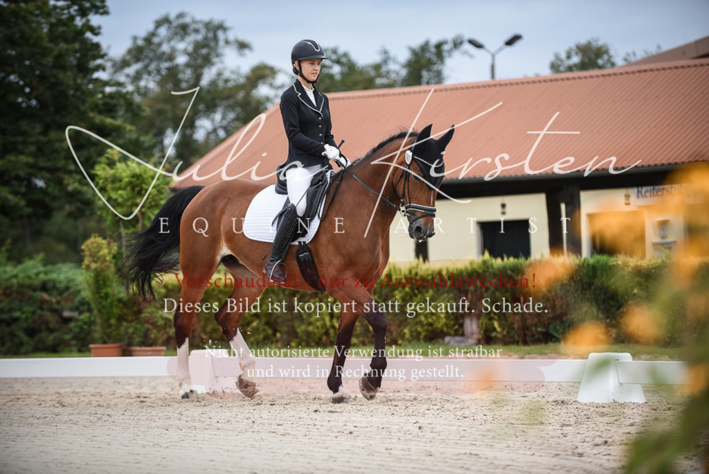 DSC_8274 | Pferde- und Turnierfotografie in Westsachsen. Pferdeportraits, Auftragszeichnungen und intuitive Kunst.