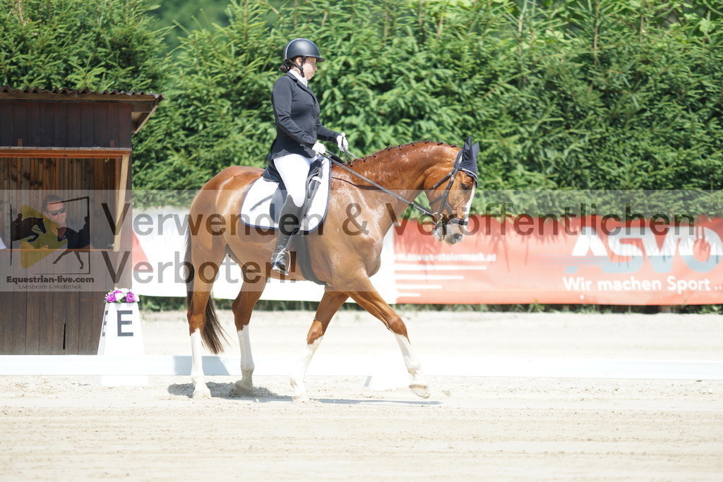 DSC04757 | equestrian-live-com