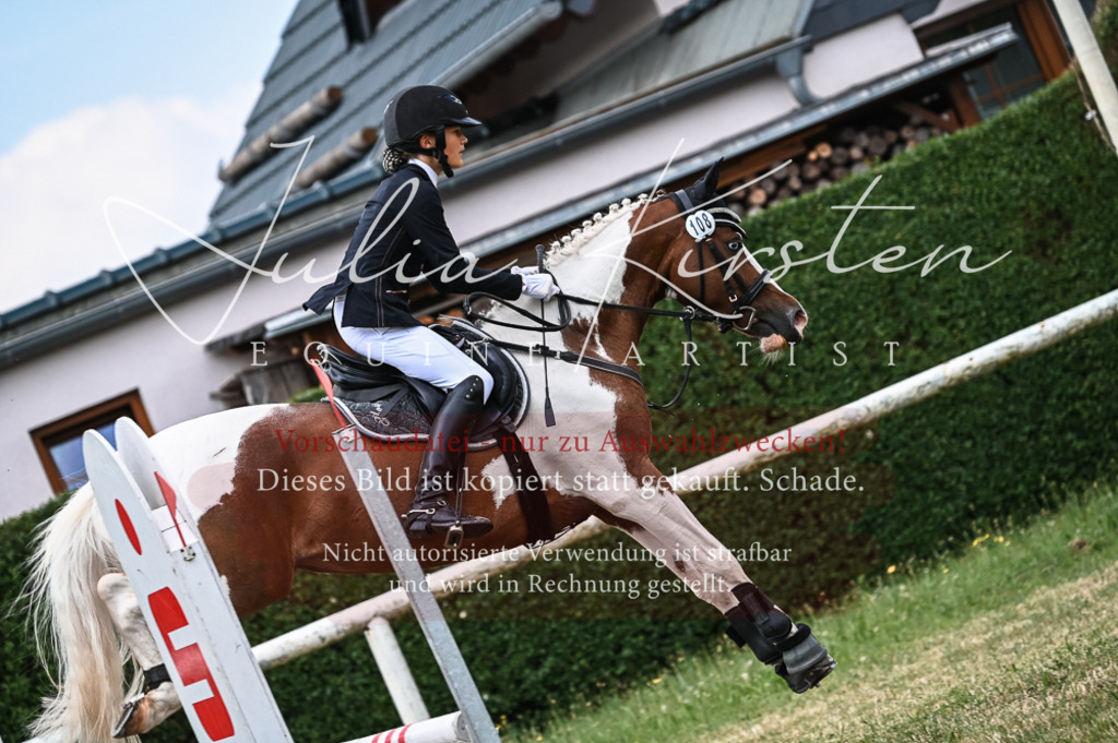 DSC_8560 | Pferde- und Turnierfotografie in Westsachsen. Pferdeportraits, Auftragszeichnungen und intuitive Kunst.