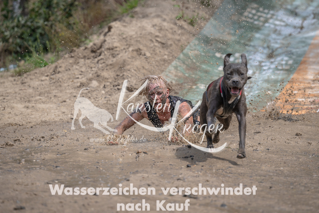1239_ZZ92927 | kk-dogfotos