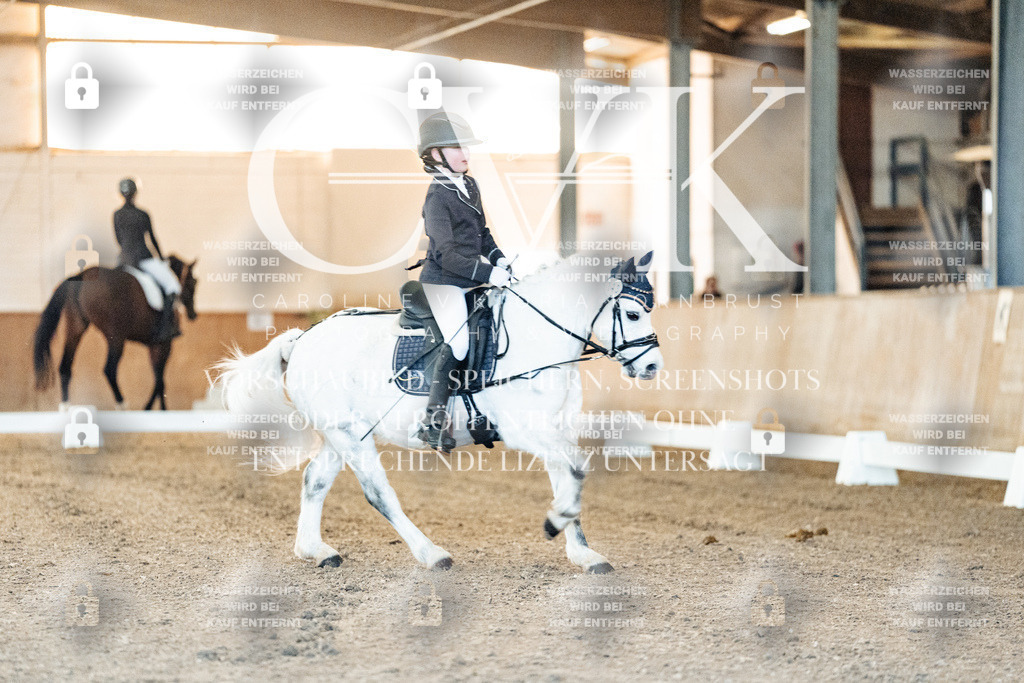 CK906423 | Turnierfotografie Pferdefotografie Trier Rheinland-Pfalz Pferdesport Reitsport Tierfotografie Sportfotografie Pferdevideo Pferdevideografie Equestrianvideography equestrianphotography  - Realisiert mit Pictrs.com