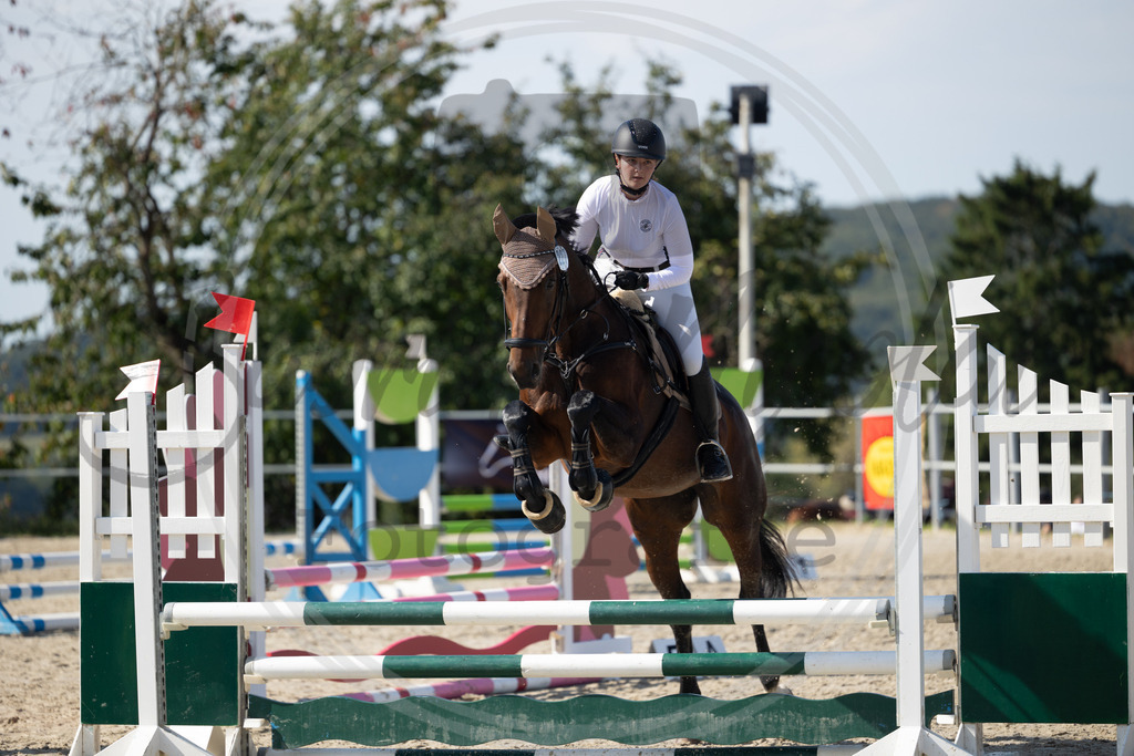 994A1803 | sabrinanicolaifotografie - Realisiert mit Pictrs.com