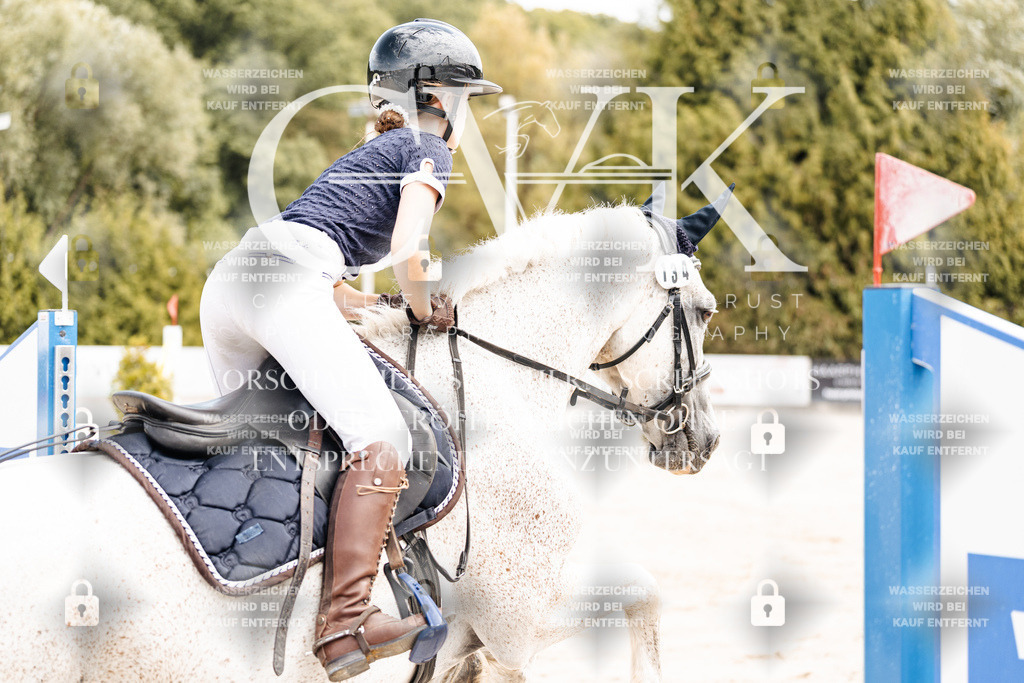 CK906786 | Turnierfotografie Pferdefotografie Trier Rheinland-Pfalz Pferdesport Reitsport Tierfotografie Sportfotografie Pferdevideo Pferdevideografie Equestrianvideography equestrianphotography  - Realisiert mit Pictrs.com