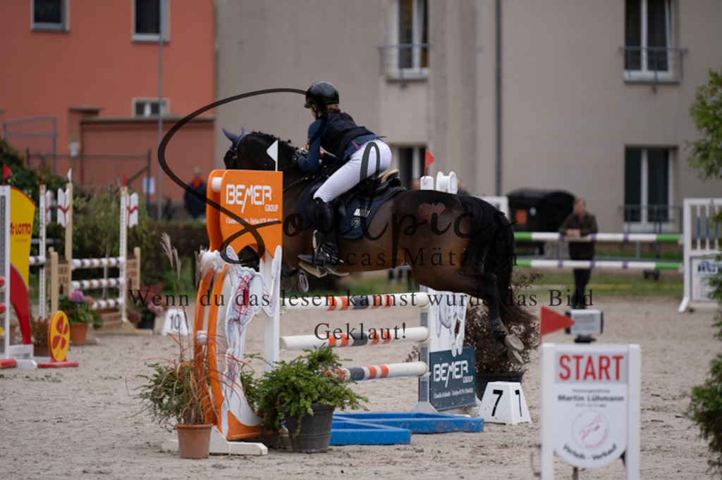 A7V09277 | Pferdefotograf