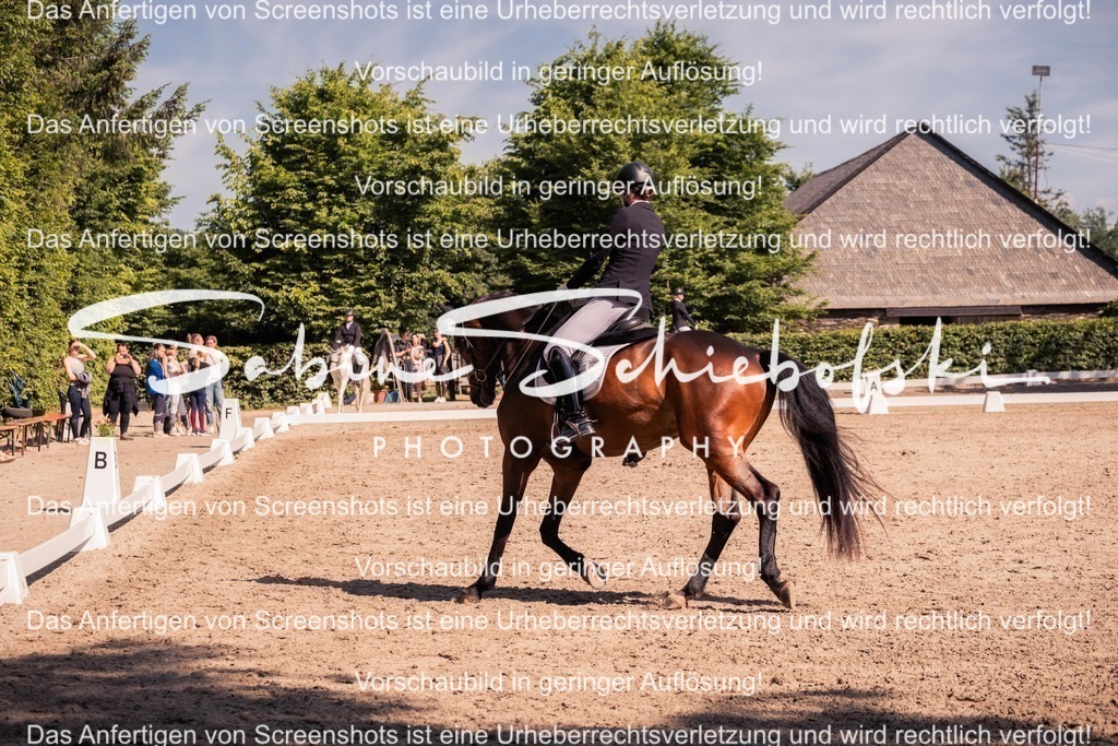 2025_05_31_DSCF3053 | People- und Tierfotografie, Imageaufnahmen, Veranstaltungsfotografie und Wandbilder aus der Natur ★ Made in Germany ✔️ Druck + Downloads ✔️ Naturfotografie in Top Qualität ★ schneller Versand, weltweite Lieferung! - Realisiert mit Pictrs.com