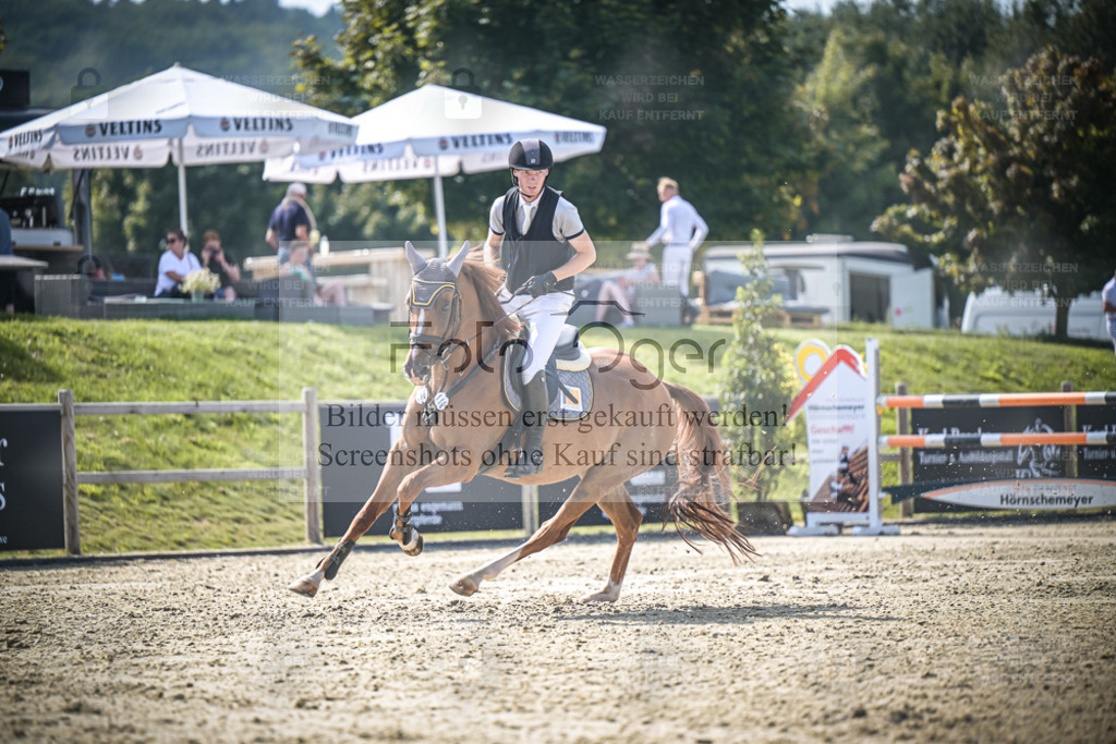 DOS_4343 | Entdecke hochwertige Reitturnierfotos von Foto Oger. Professionell, emotional und authentisch – jetzt Lieblingsmomente im Shop bestellen. - Realisiert mit Pictrs.com